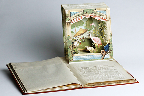 A pop-up book for children showing a folded-out picture of a man watching storks and flamingos