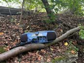 Alter blauer Kassettenrekorder liegt auf einem Ast im Wald Alter blauer Kassettenrekorder liegt auf einem Ast im Wald