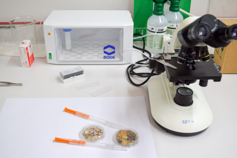 Test-Kit zur Messung der mikrobiellen Kontamination und beprobte Petrischalen