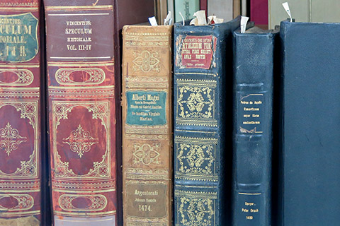 Buchrücken der Klemm-Sammlung im Magazin Buchrücken der Klemm-Sammlung im Magazin