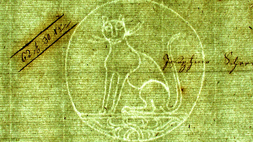 Cat drawn in white on green paper