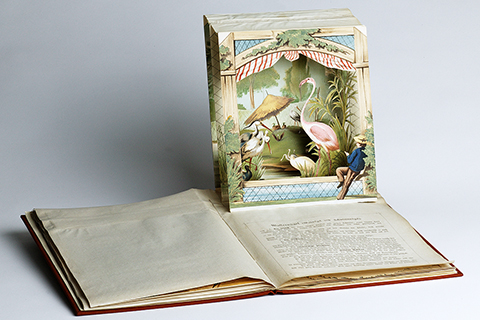 A pop-up book for children showing a folded-out picture of a man watching storks and flamingos A pop-up book for children showing a folded-out picture of a man watching storks and flamingos