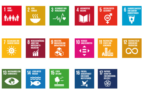 17 sustainable development goals defined by the United Nations